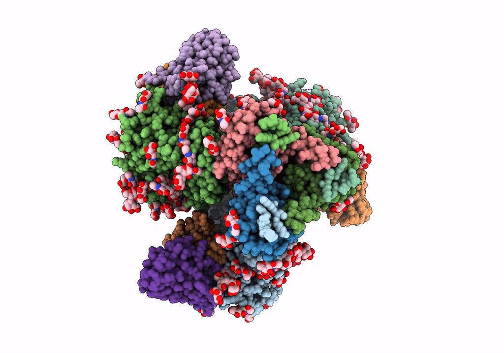 7RSO image