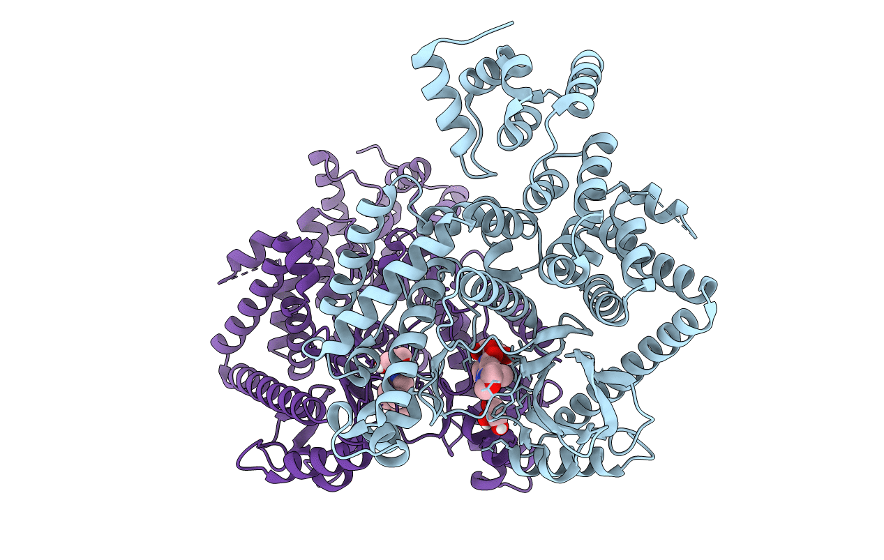 7RSP image