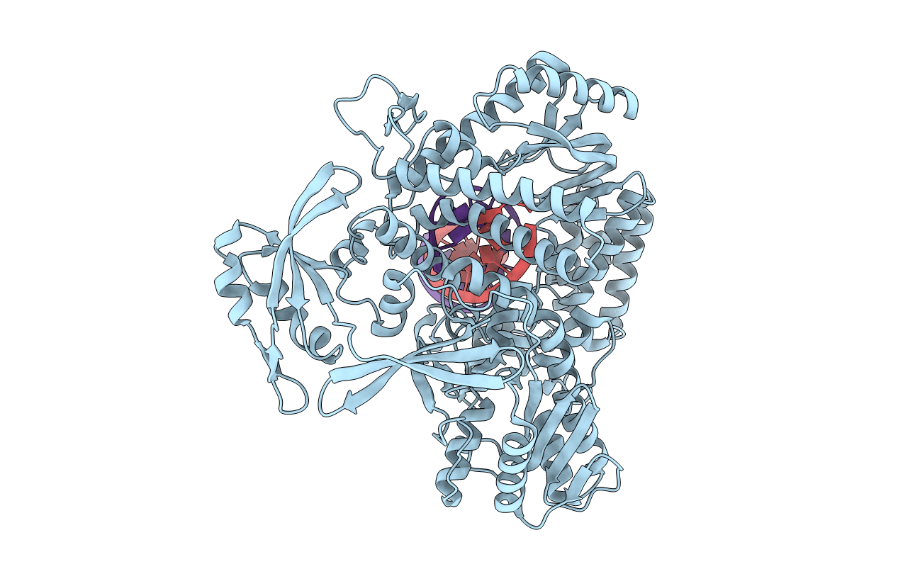 7RSU image