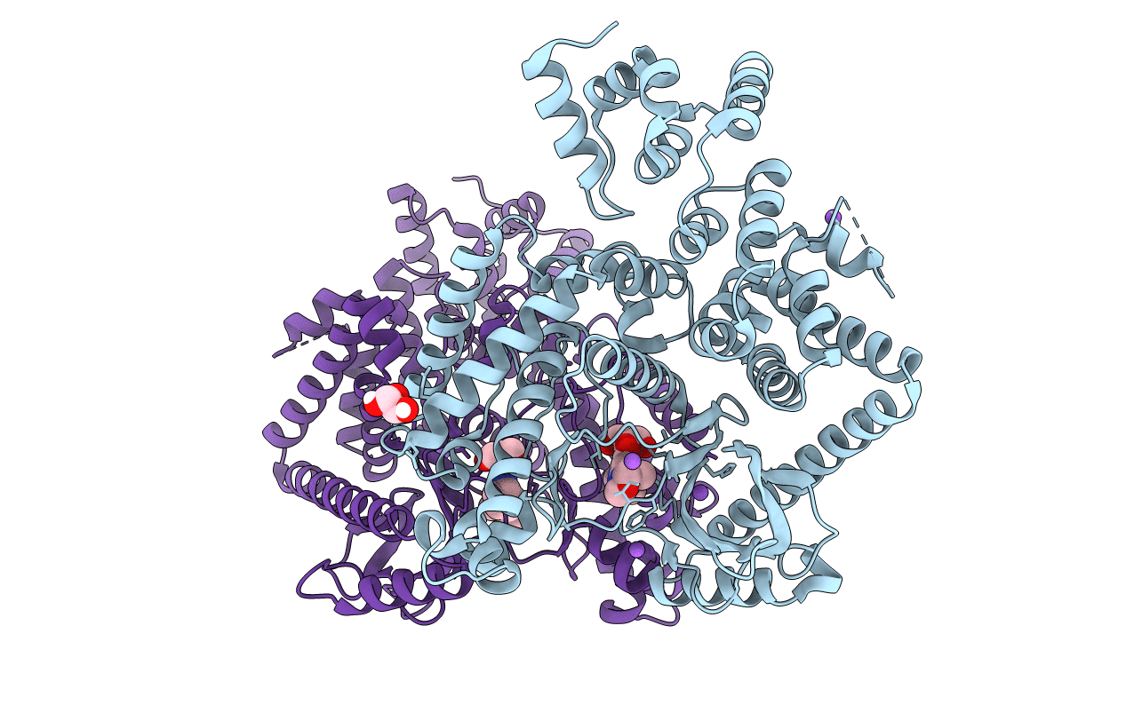 7RSV image