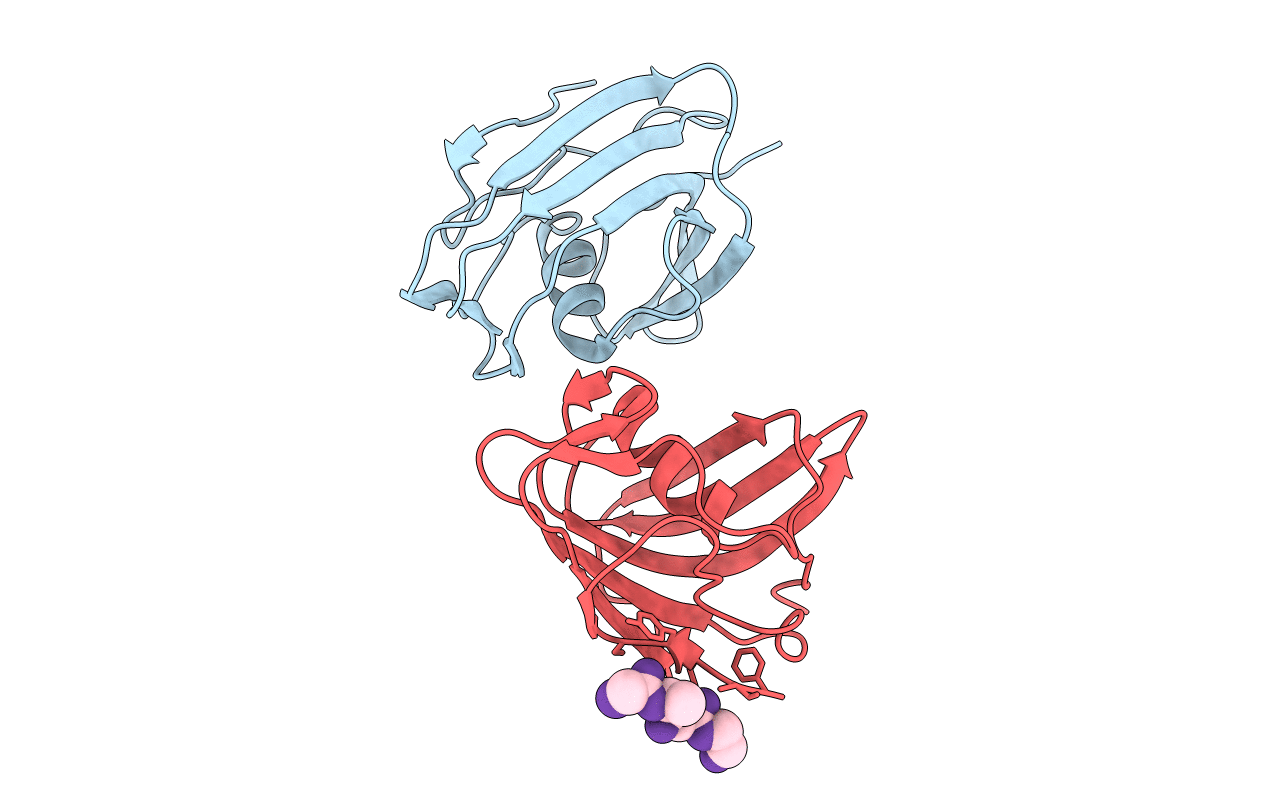 7RSW image