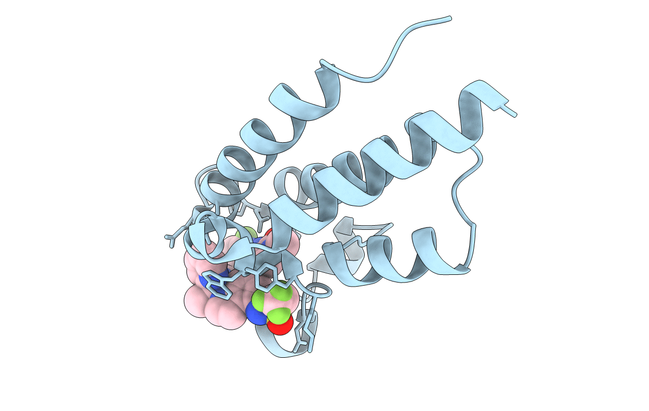 7RUH image