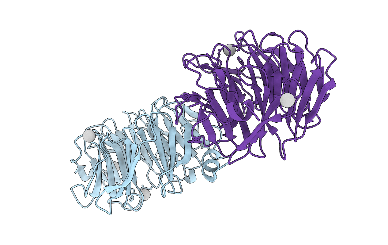 7RUO image