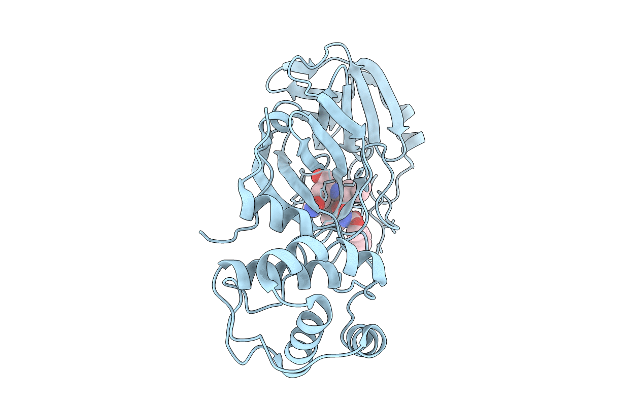 7RVS image