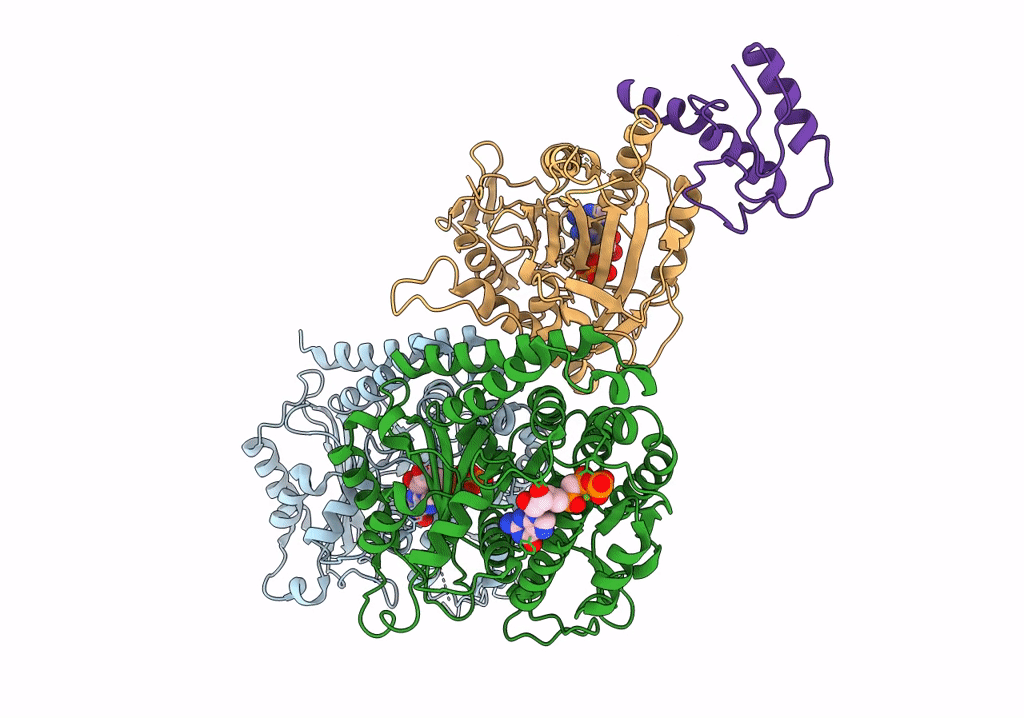 7RX0 image
