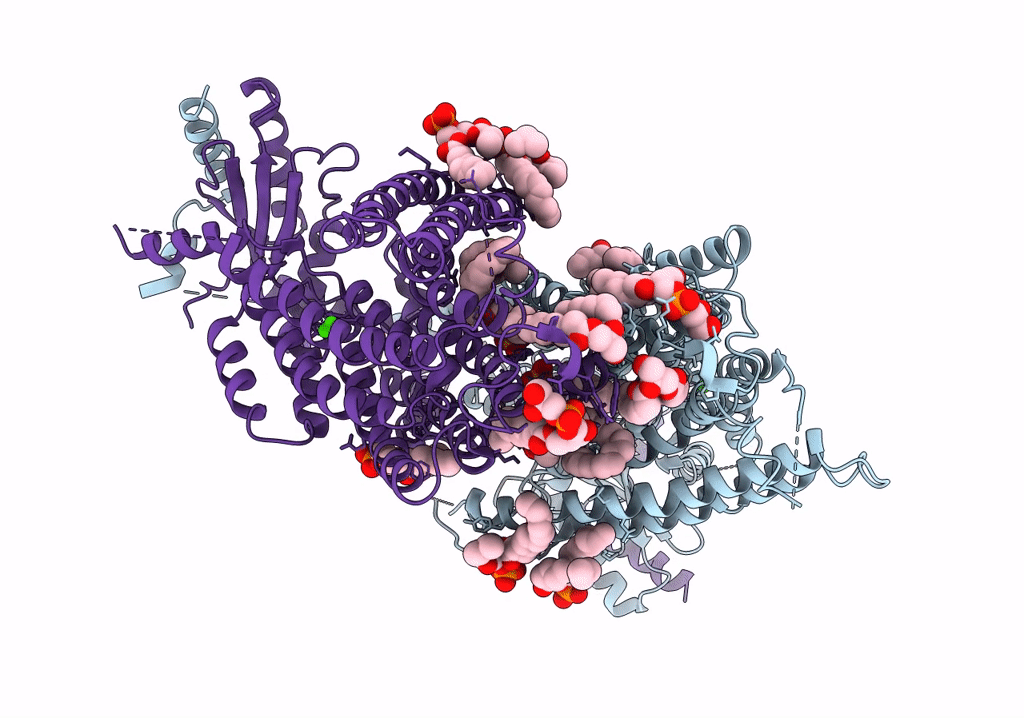 7RX2 image