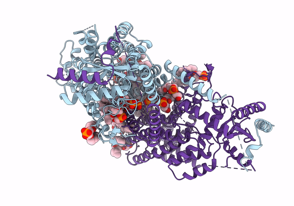 7RX3 image