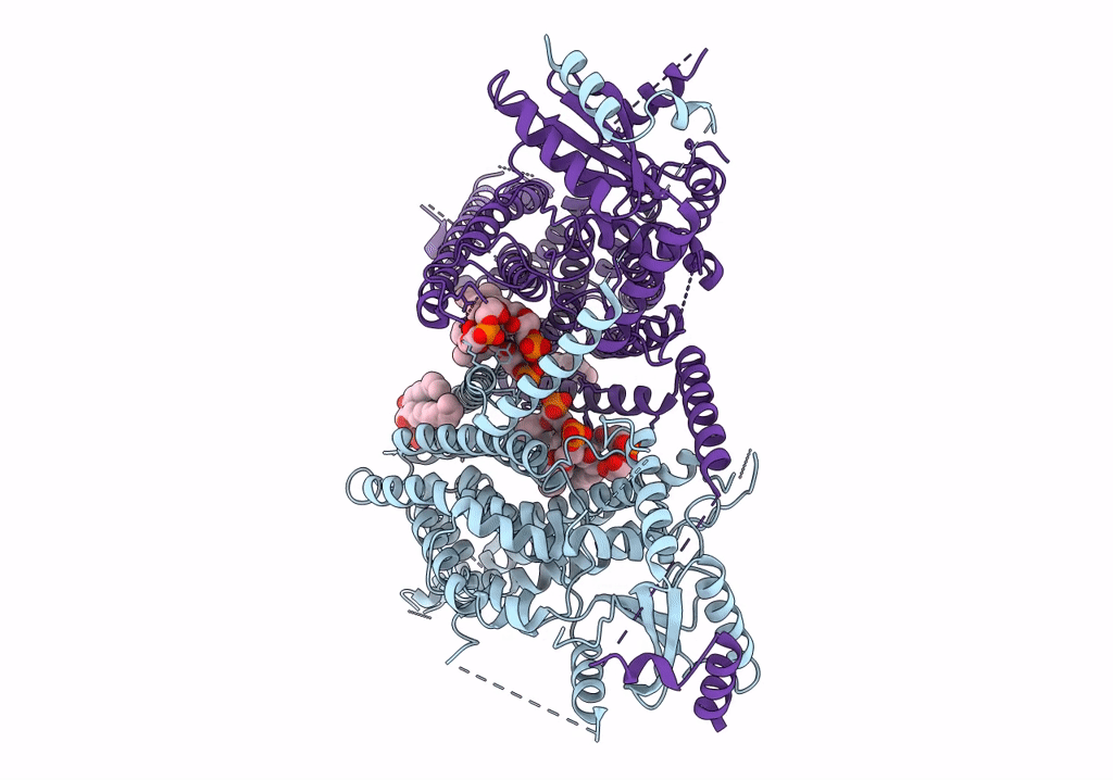 7RXA image