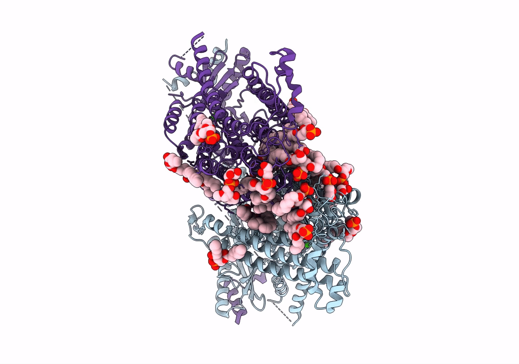 7RXG image