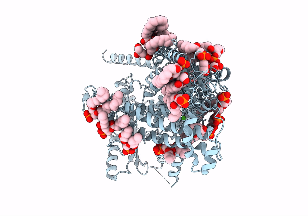 7RXH image