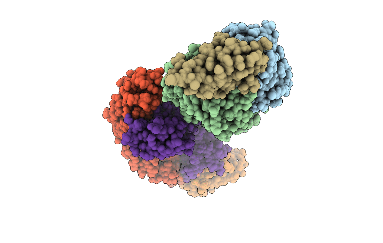 7RXJ image