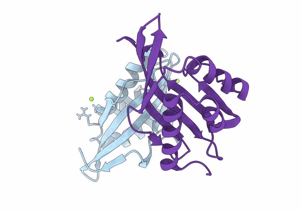 7RXK image