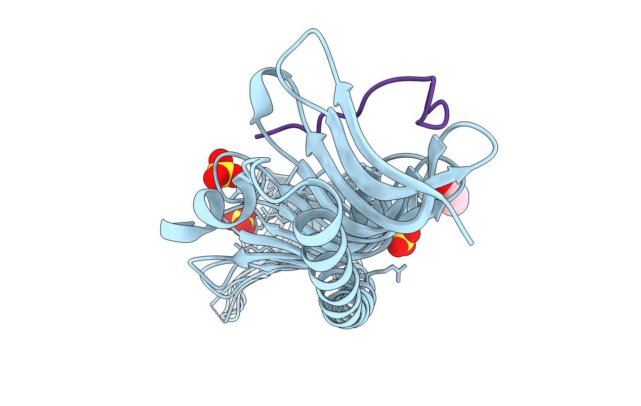 7RXQ image