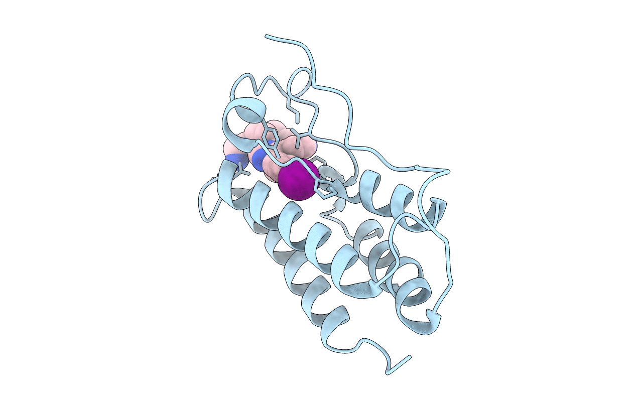 7RXT image