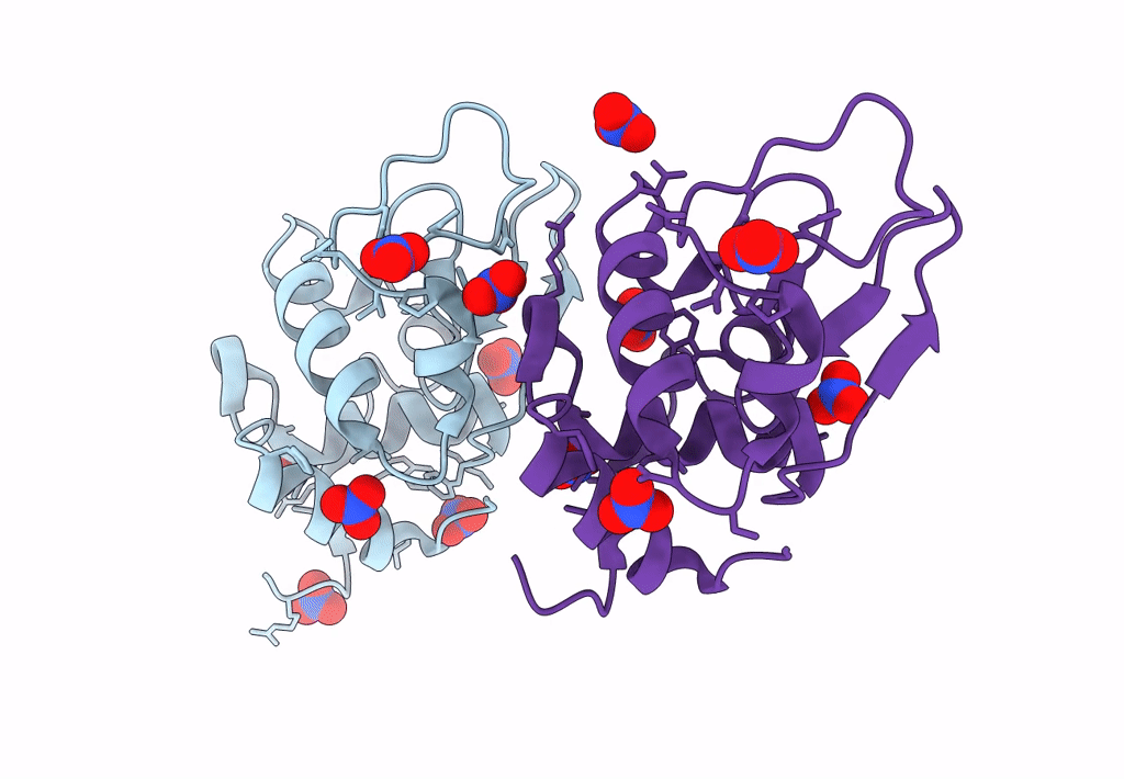 7RXY image