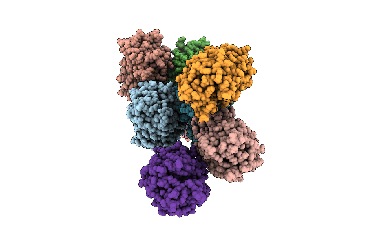 7RY2 image