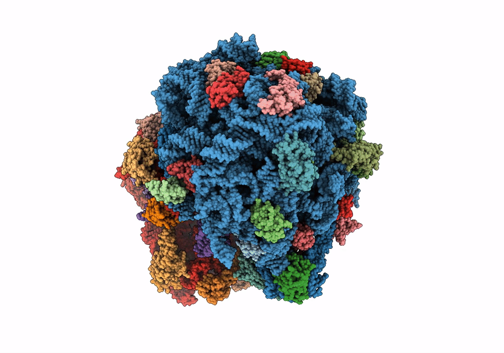 7RYG image
