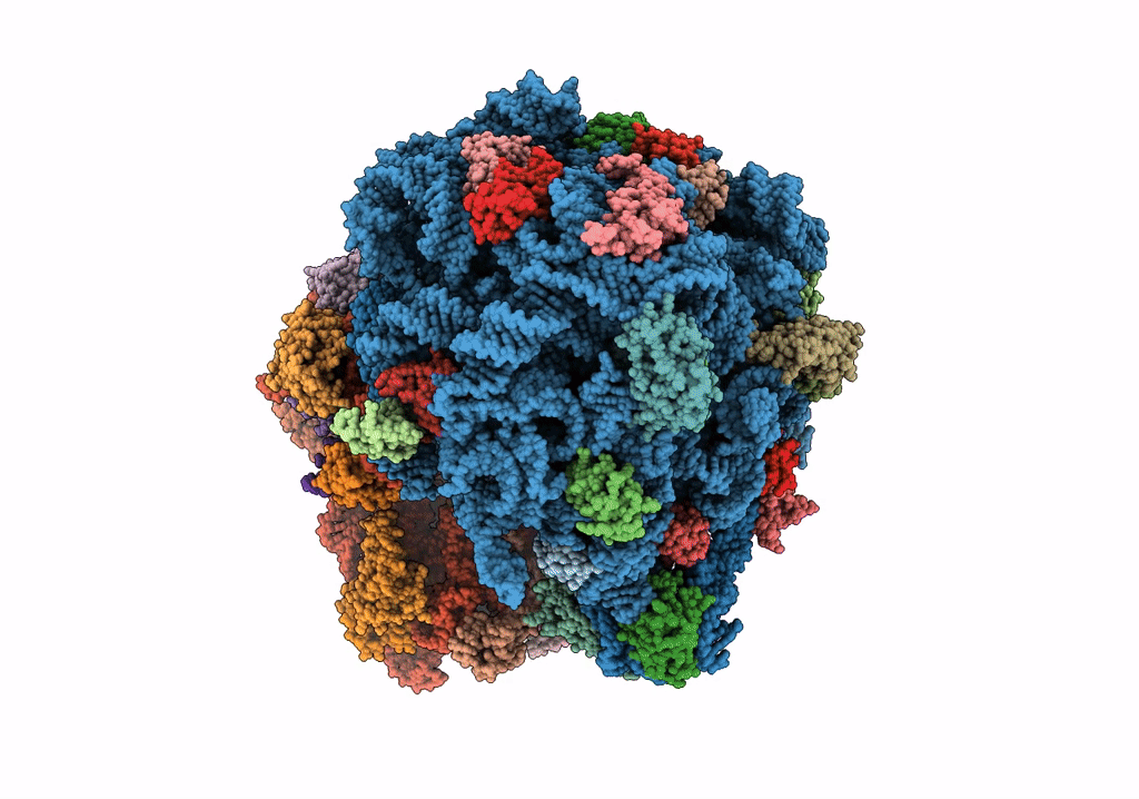 7RYH image