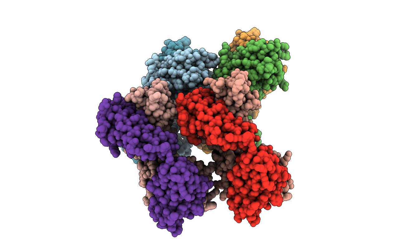 7RYV image