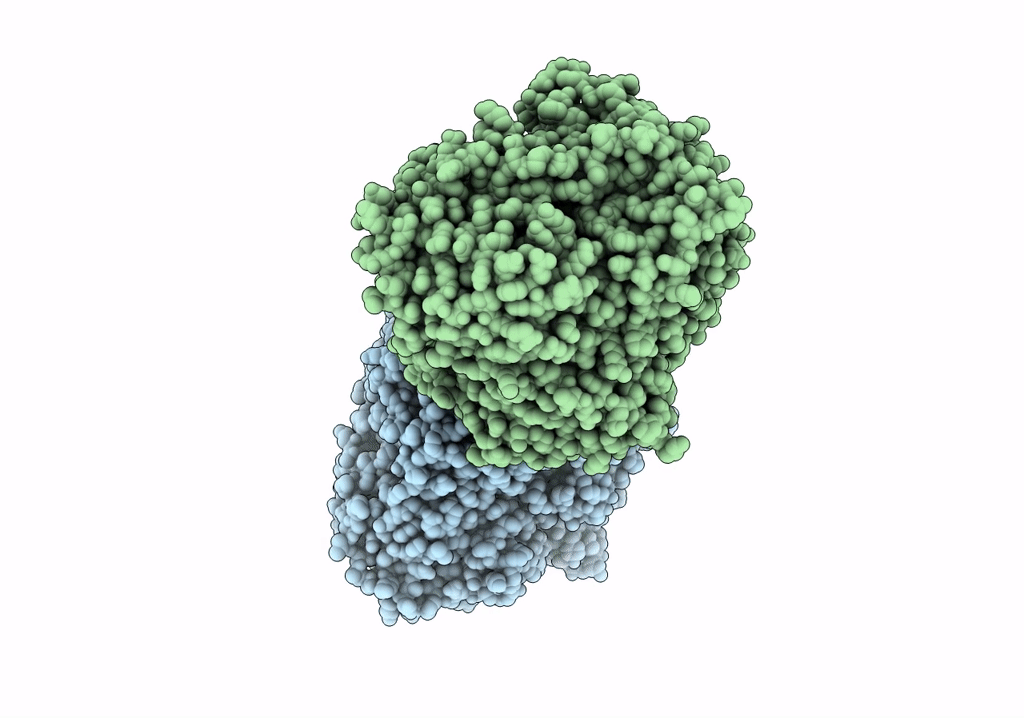 7RZI image