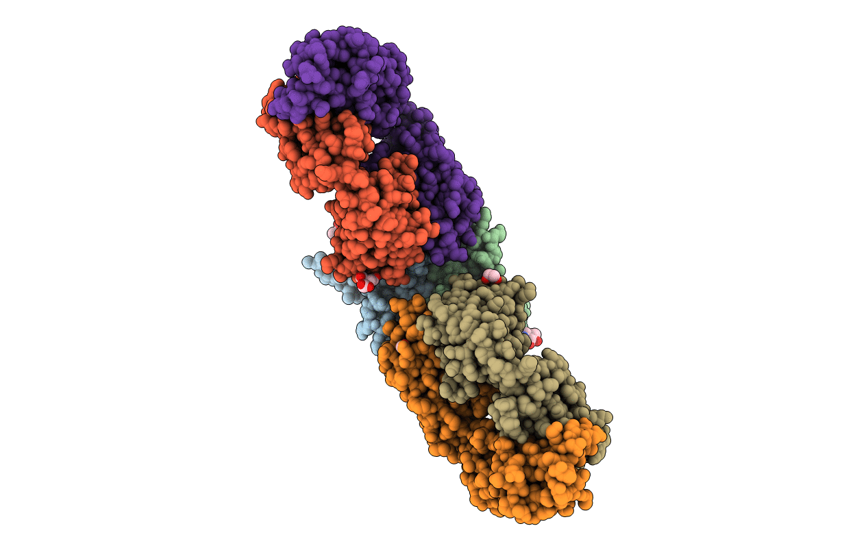 7S13 image