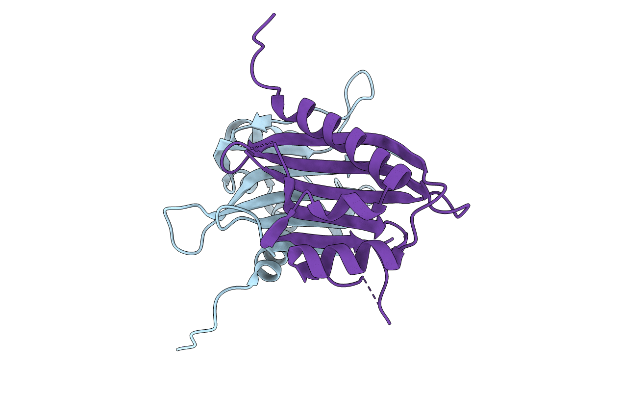 7S17 image