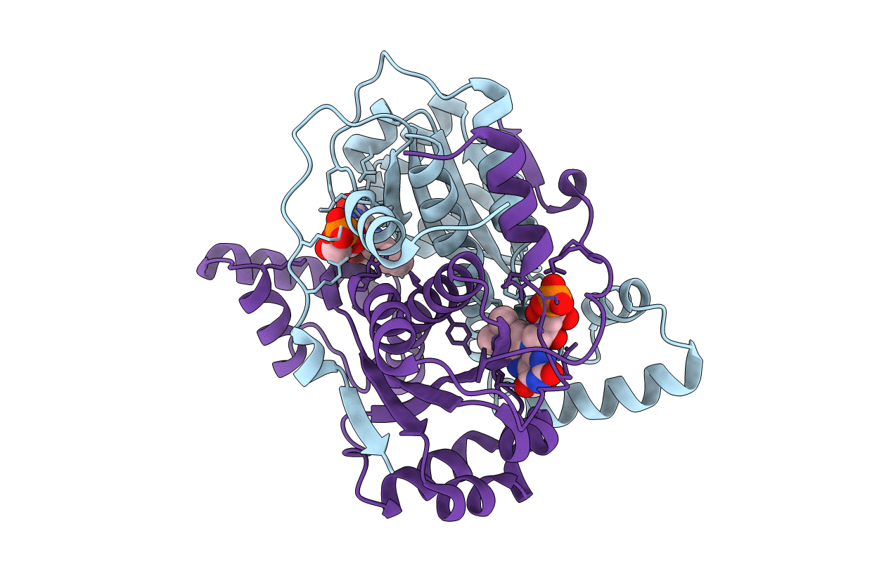 7S1A image