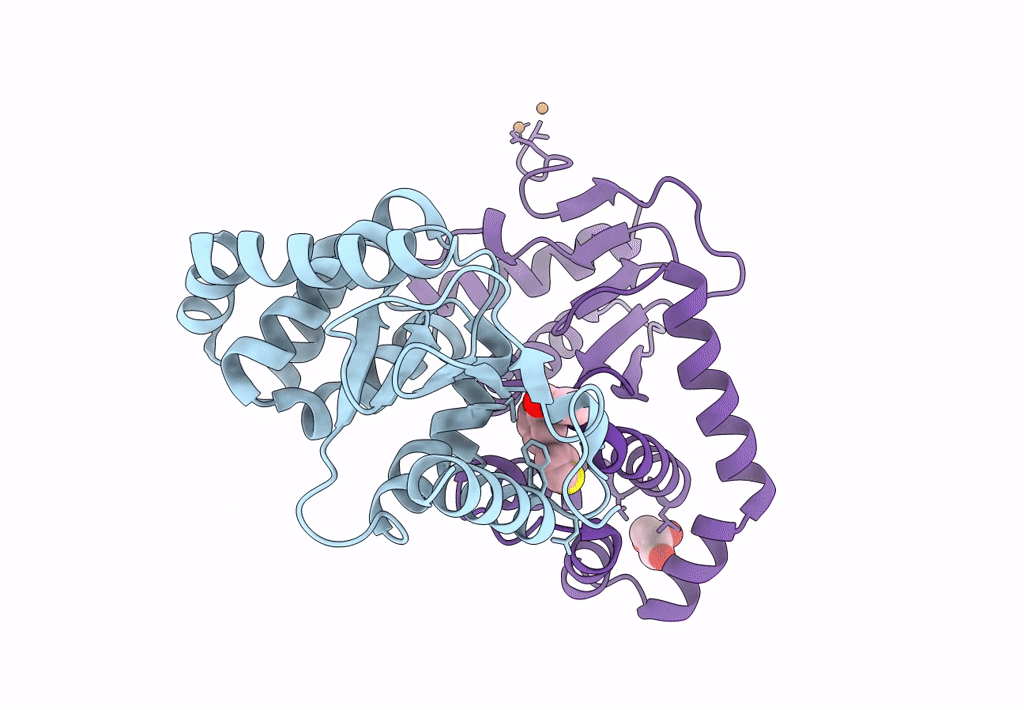 7S1F image
