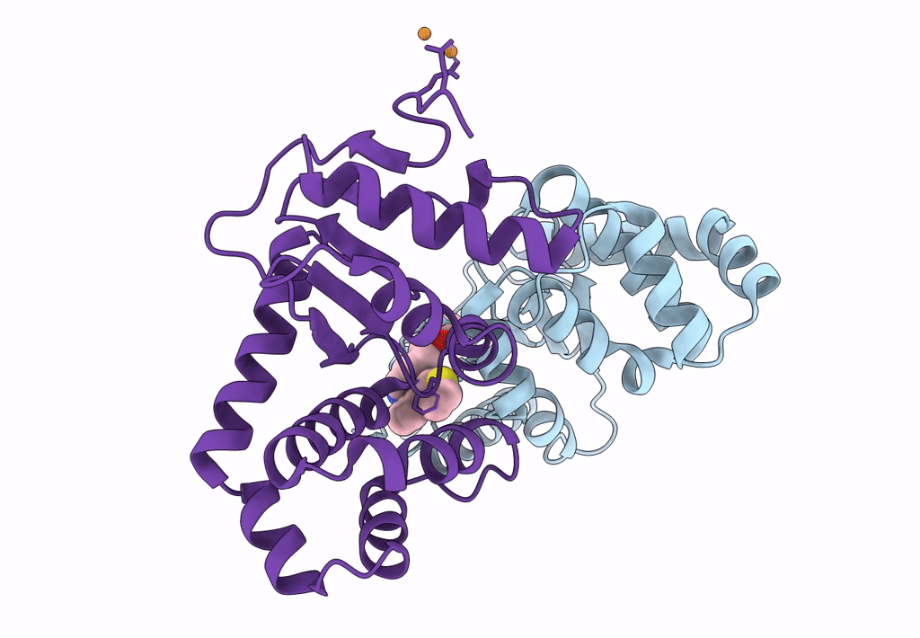 7S1L image