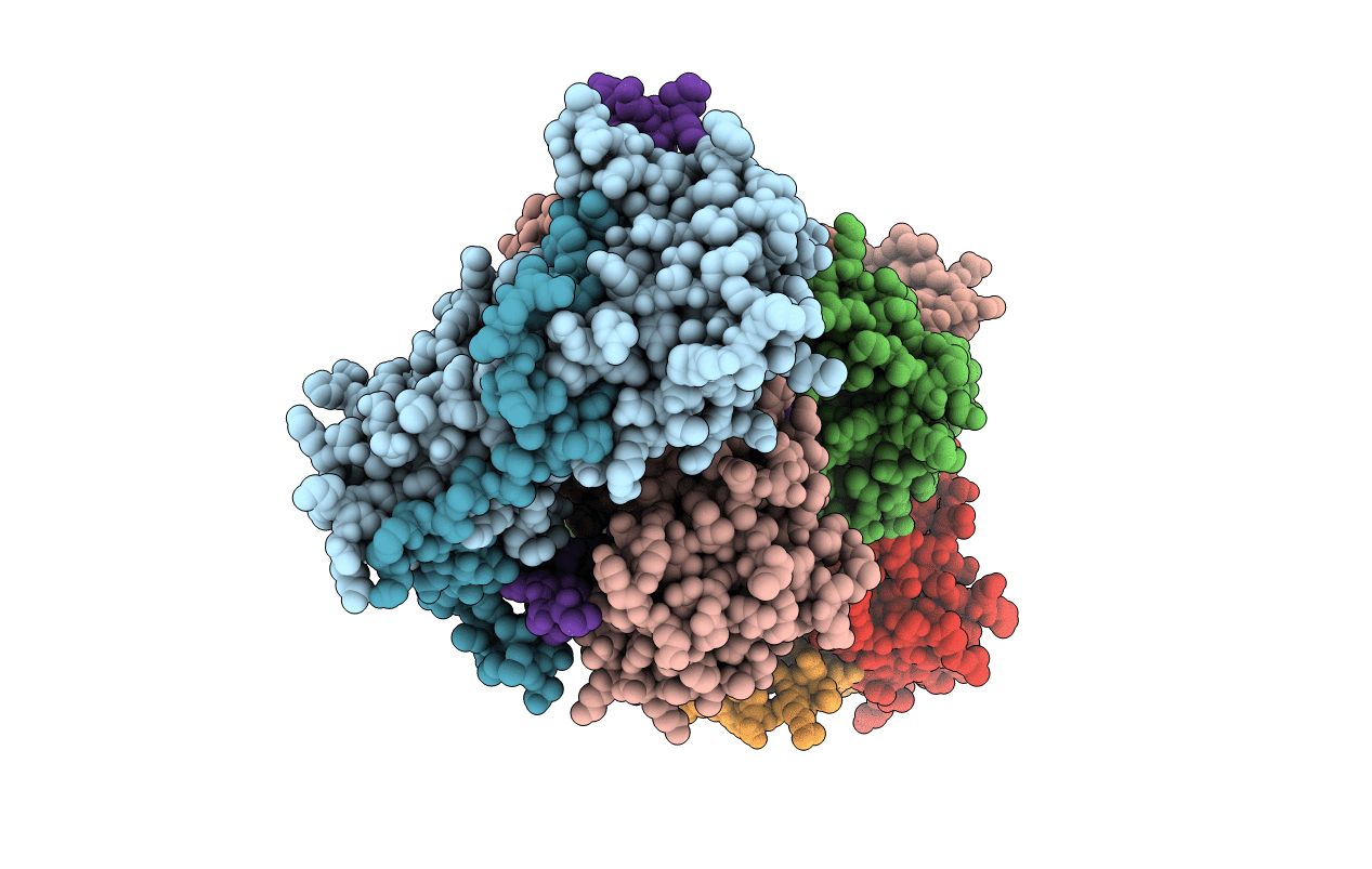 7S1T image