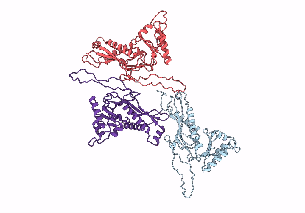 7S20 image