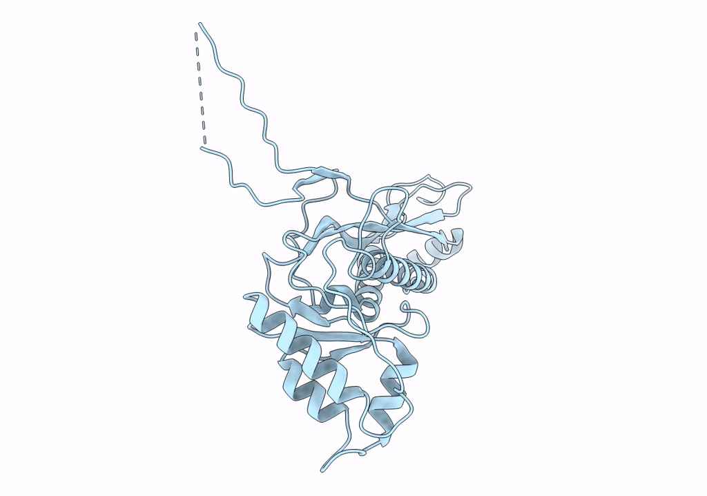 7S21 image