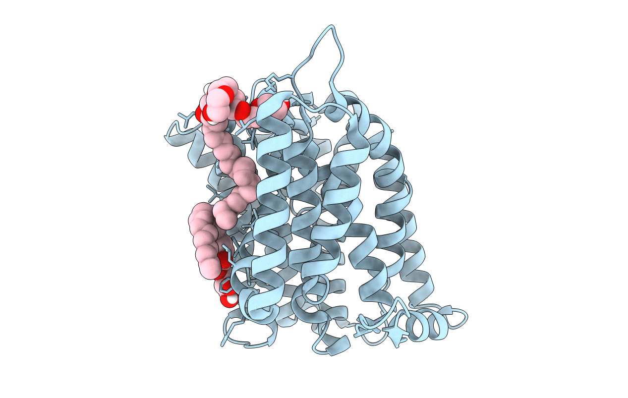 7S24 image
