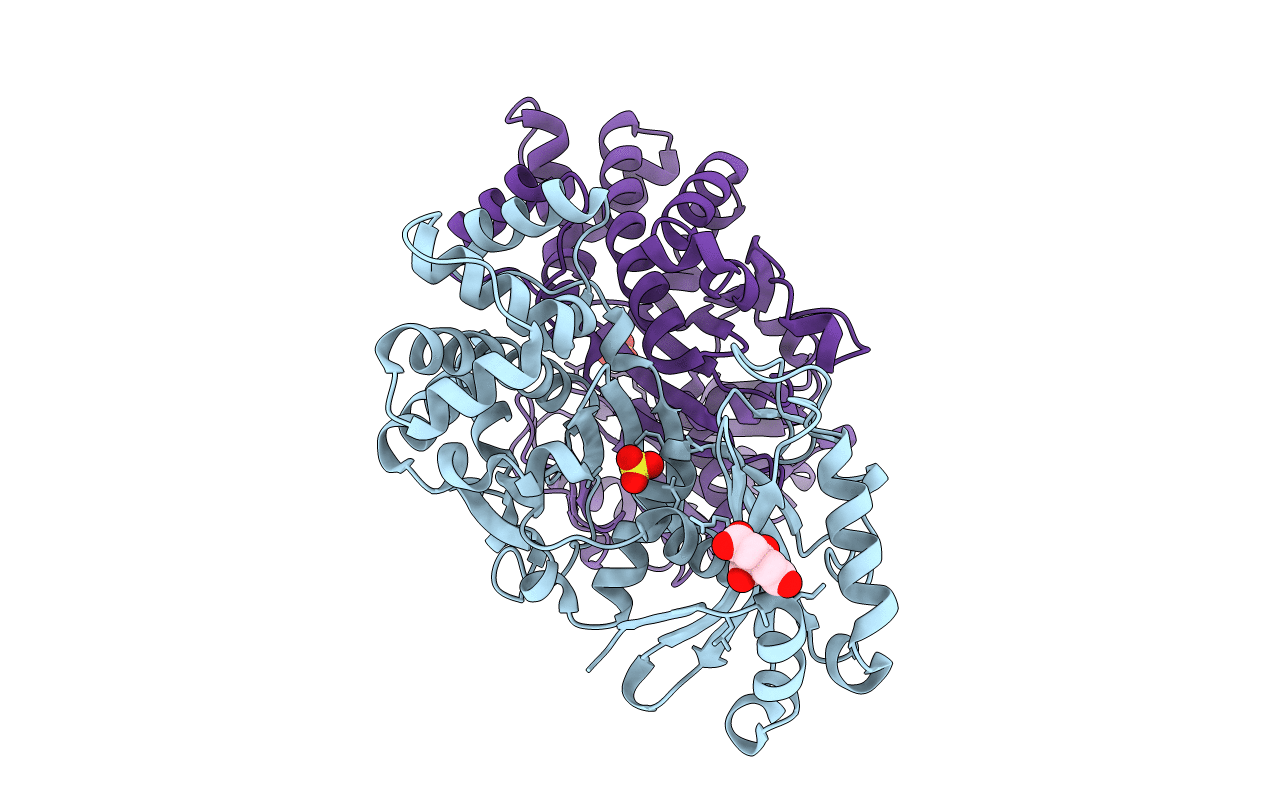 7S2H image