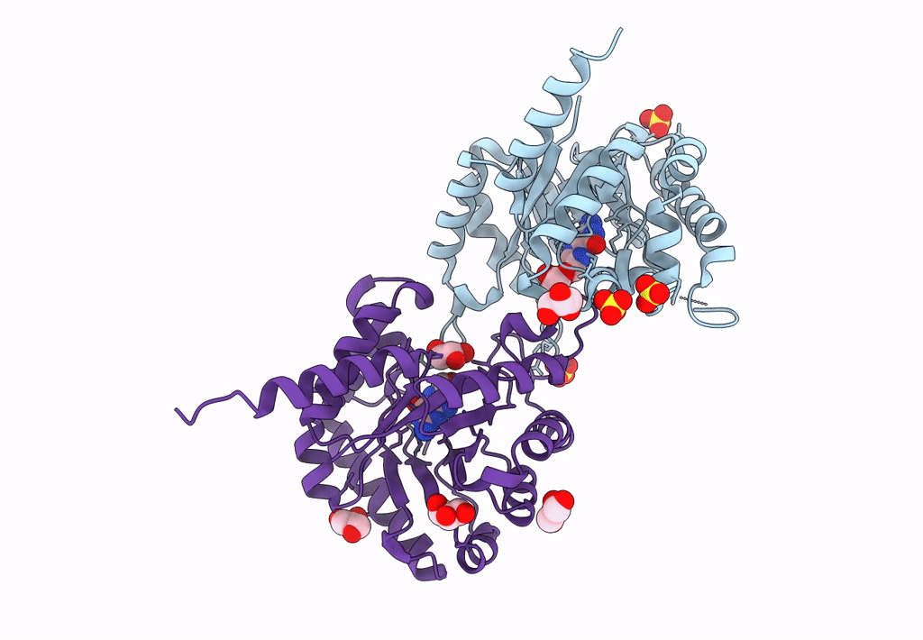 7S2I image