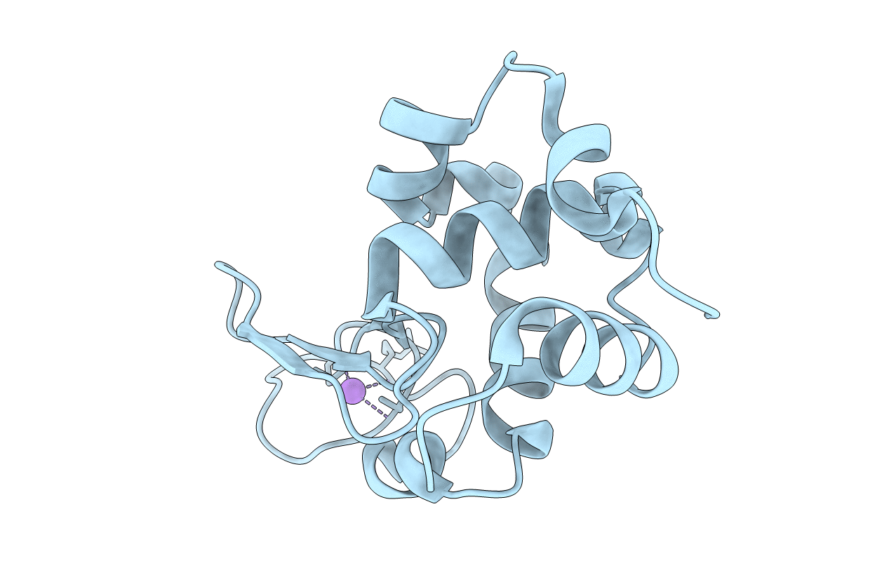 7S2W image
