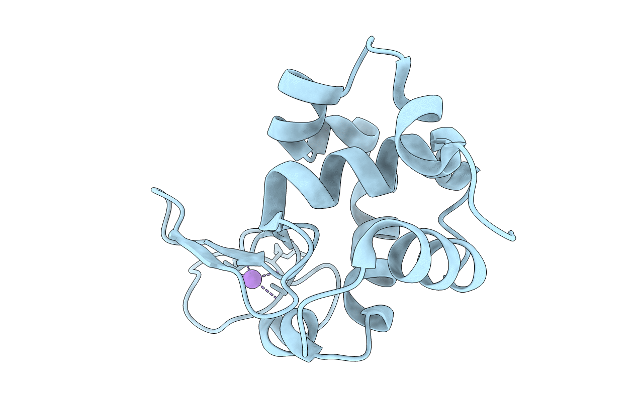 7S33 image