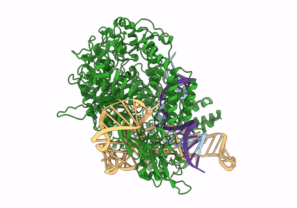 7S36 image