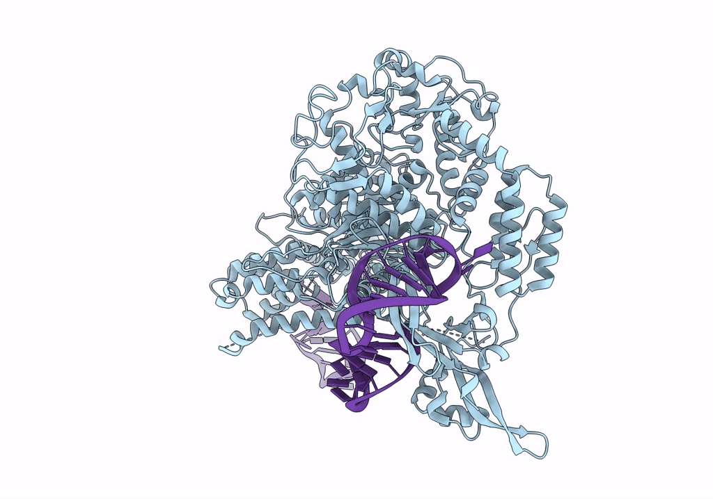 7S37 image