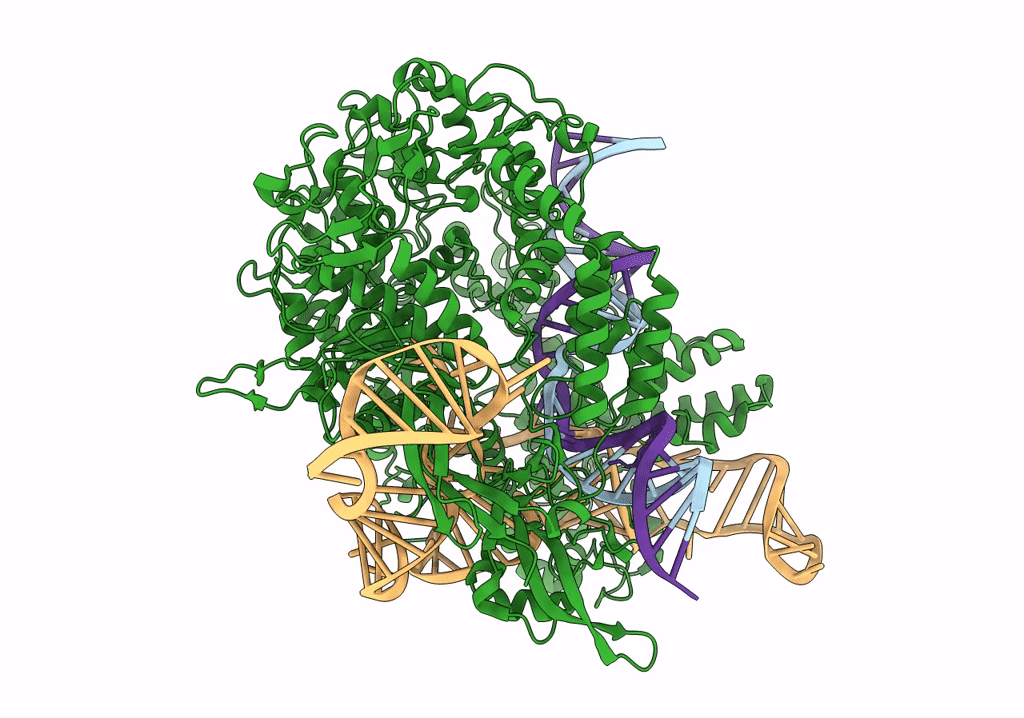 7S38 image