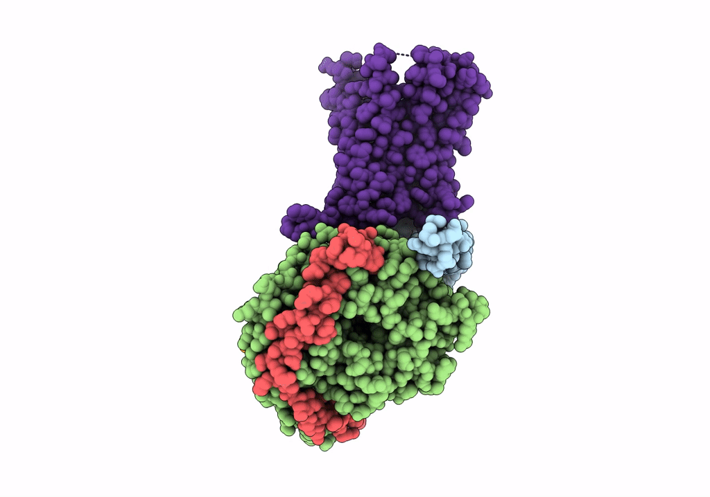 7S3I image