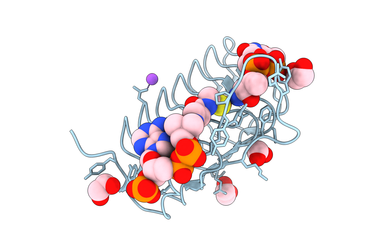 7s3w image
