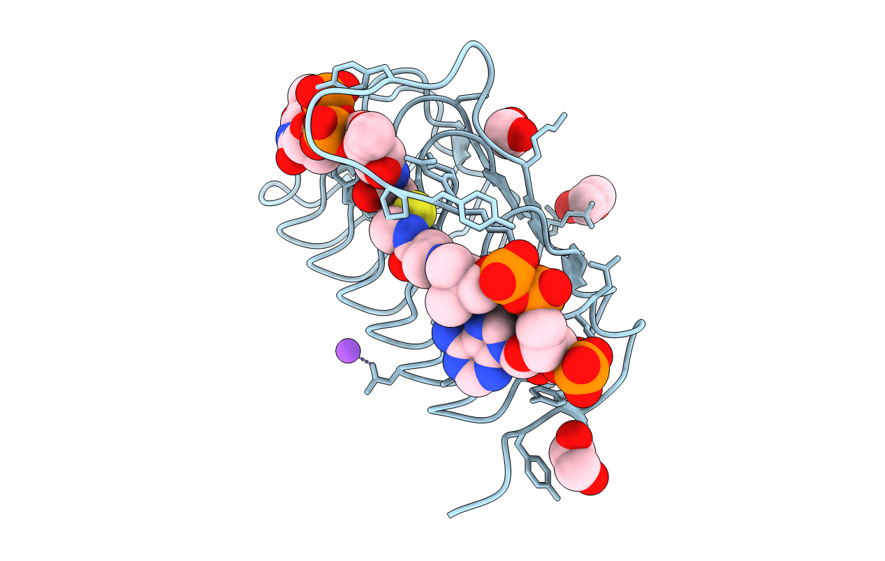 7s41 image
