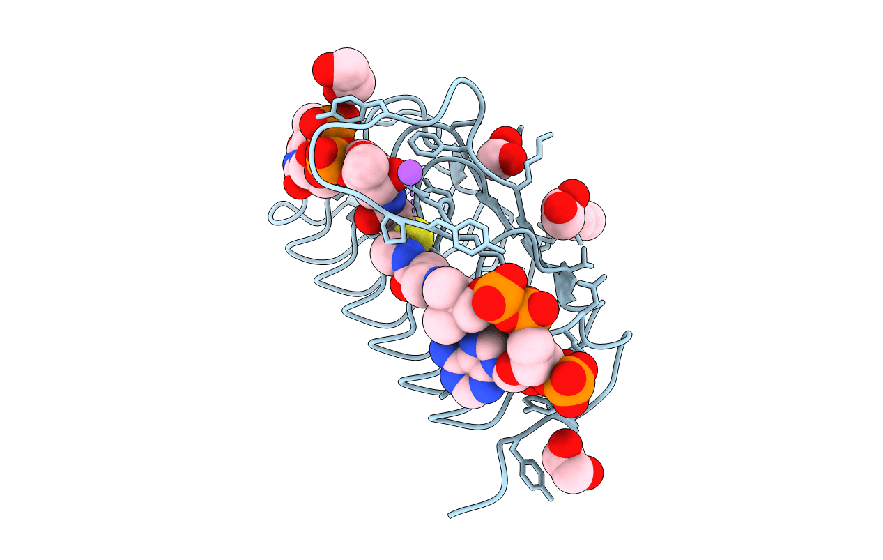 7s42 image