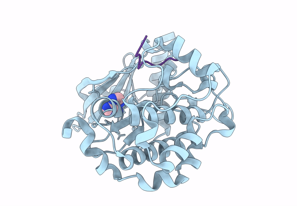 7S46 image