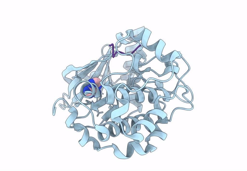 7S47 image