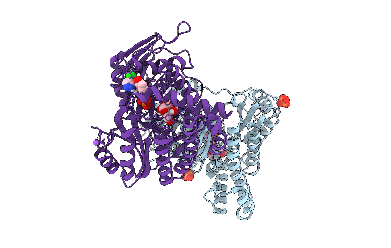 7S49 image