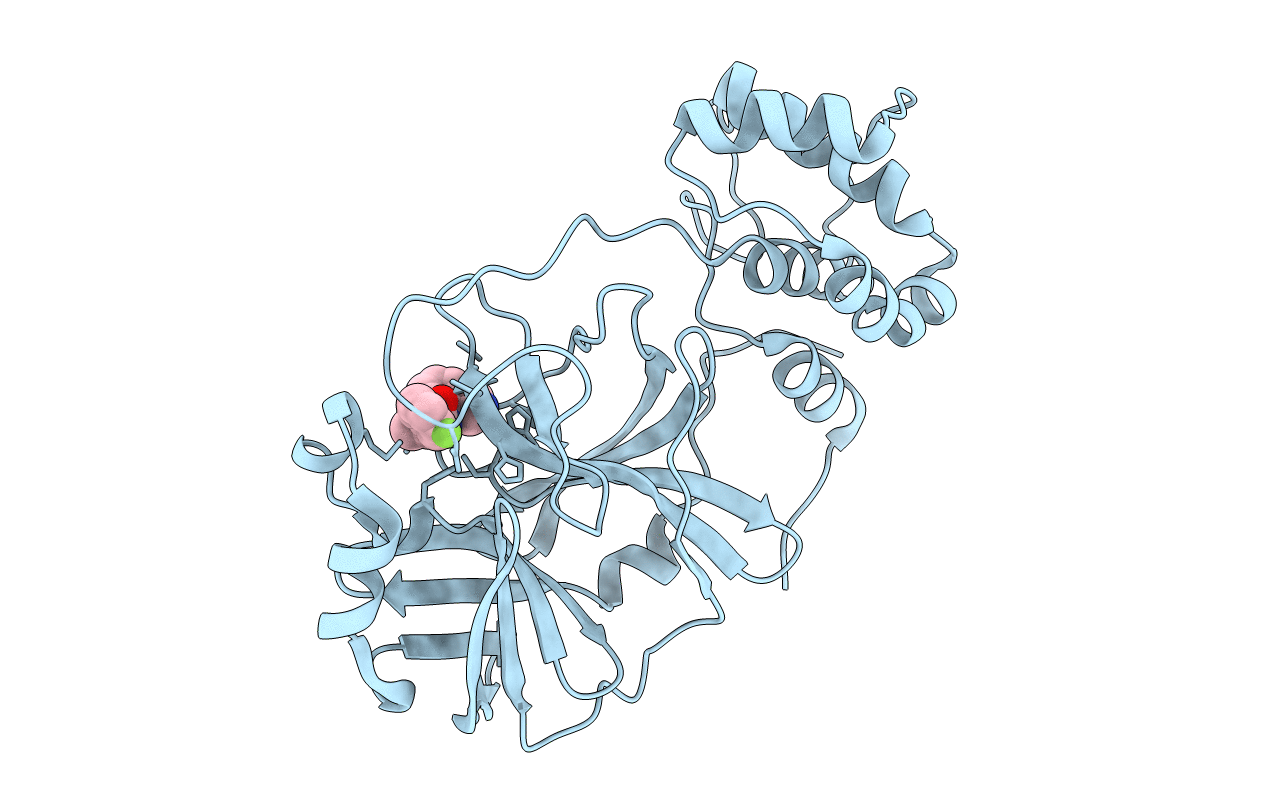 7S4B image