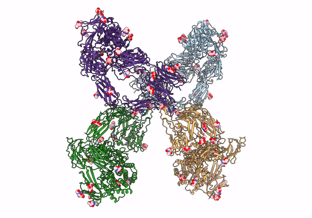 7S63 image