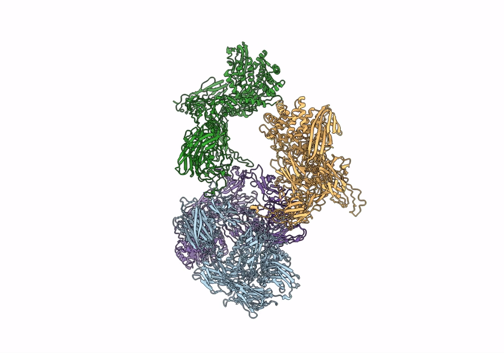7S64 image